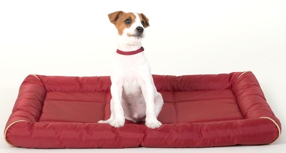 Ducky on Medium Love Red Crate Mat