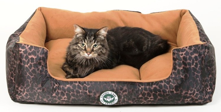 Murphy in Regal Gold Lounger