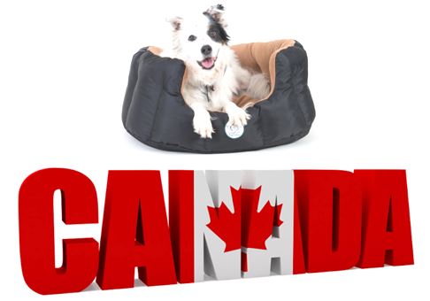 Ashley Nesting Bed Canadian Flag