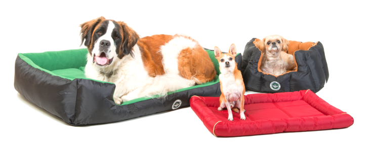 The Peer's Family of Dogs no Bacground and length adjusted.png